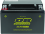 QuadBoss 401379 - Maintenance-Free AGM Battery QBX9-FA