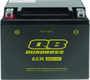 QuadBoss 401381 - Maintenance-Free AGM Battery QBX12-FA