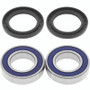 QuadBoss 413347 - 02-07 Suzuki LT-A400 Eiger 2x4 Rear ATV Wheel Bearing & Seal Kit