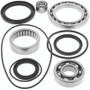 QuadBoss 413030 - 99-04 Yamaha YFM250 Bear Tracker Rear Differential Bearing & Seal Kit QuadBoss 413030 - 99-04 Yamaha YFM250 Bear Tracker Rear Differential Bearing & Seal Kit