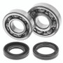 QuadBoss 413259 - 88-06 Yamaha YFS200 Blaster Crankshaft Bearing & Seal Kit