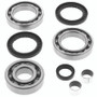 QuadBoss 413026 - 2002 Polaris ATV Pro 500 4x4 PPS Rear Differential Bearing & Seal Kit