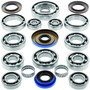 QuadBoss 417768 - 14-16 Polaris ACE 325 Transaxle Bearing Kit QuadBoss 417768 - 14-16 Polaris ACE 325 Transaxle Bearing Kit