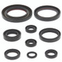 QuadBoss 564171 - 06-14 Honda TRX450ER Oil Seal Set