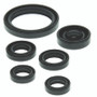 QuadBoss 564142 - 04-13 Yamaha YFZ450 Oil Seal Set