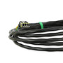 Racepak 280-CA-EFIHOLMX - ECU Interface Cable; Holley Molex; Connects The CAN Bus Data Stream From The ECU To The  IQ3S/IQ3D/ Universal CAN Module;