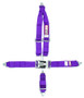 RJS Safety 1126208 - 5 PT Harness System PL Roll bar MT 3IN Sub RJS Safety 1126208 - 5 PT Harness System PL Roll bar MT 3IN Sub