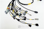 Rywire RY-B-SYVEC-S7 - Honda B-Series (w/Syvecs SV7 ECU) Eng Harn w/OBD1 Alt/EV1 Inj/AEM IAT & MAP (Adapter Req)