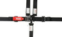 Simpson Safety 1B11PIKX - SIMPSON LATCH & LINK OFF-ROAD RECREATIONAL HARNESSES