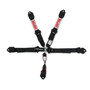Simpson Safety 12LD5WC - Simpson Latch & Link SFI Harness 2" Double Pull down SFI 16.1