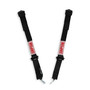 Simpson Safety 12LD5WB - Simpson Latch & Link SFI Harness 2" Double Pull down SFI 16.1
