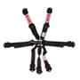 Simpson Safety 12LD7WB - Simpson Latch & Link Harness 2" Double Pull down SFI 16.1