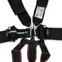Simpson Safety 12LD7WB - Simpson Latch & Link Harness 2" Double Pull down SFI 16.1