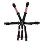 Simpson Safety 12LD7WC - Simpson Latch & Link Harness 2" Double Pull down SFI 16.1