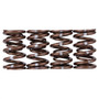 Skunk2 311-05-7380 - Pro Series Honda/Acura K-Series i-VTEC XP Valve Spring Set (Dual Springs)