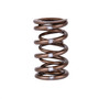 Skunk2 311-05-7380 - Pro Series Honda/Acura K-Series i-VTEC XP Valve Spring Set (Dual Springs)