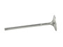 Skunk2 310-05-1555 - Alpha Series Honda/Acura +1mm K Series VTEC Valve (Standard Compression)