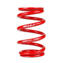 Skunk2 521-99-0985 - Universal Race Spring (Elliptical) - 6 in.L - 2.5 in.ID - 6kg/mm (0600.250.006E)