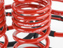 Skunk2 519-05-1670 - 02-04 Acura RSX Lowering Springs (2.25in - 2.00in.) (Set of 4)