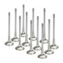 Supertech BMEVI-1054S-12 - BMW N54 28mm (STD) Inconel Exhaust Valve - Set of 12 (Use w/ locks KPR-6S/7)