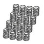Supertech SPR-EC3027S-16 - Honda ZC/D16A1/D16A9 DOHC Single Valve Spring - Set of 16