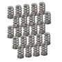 Supertech SPR-FE20BE-24 - BMW N54 Conical Valve Springs - Set of 24