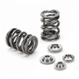 Supertech SPRK-H1005D-GTIR - Nissan Pulsar Gti-R Dual Valve Spring Kit