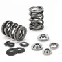 Supertech SPRK-H1000D-BM-16-ST - BMW M54 16 Dual Valve Spring Kit