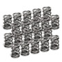 Supertech SPR-V2093-4-20S - VW VR6 Dual Valve Spring - Set of 20