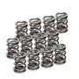 Supertech SPR-V2093-4-12 - VW VR6 Dual Valve Spring - Set of 12