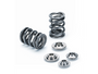 Supertech SPRK-TS1015-RB26 - Nissan RB26DET 24V Dual Valve Spring Kit