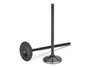 Supertech TEVN-1011-8 - Toyota MR2 3SGTE Black Nitride Exhaust Valve - +0.5mm Oversize - Set of 8