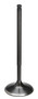 Supertech TIVN-1019 - Toyota 4AGE 16V Black Nitrided Intake Valve - Single (Drop Ship Only)