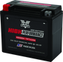 TwinPower 485004 - Twin Power YTX-20H High Performance Battery Replaces H-D 65991-82B Made in USA 310 CCA