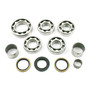 USA Standard Gear ZTBK236 - USA standard Transfer Case TS45 Bearing Kit Suzuki Samurai