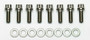 Wilwood 230-7011 - Bolt Kit - 1/4-28 x.75- 8 pk
