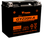 Yuasa Battery YUAM720GHA - Yuasa GYZ20HA High Performance Maintenance Free AGM 12-Volt Battery
