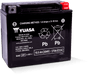 Yuasa Battery YUAM420BS - Yuasa YTX20L Maintenance Free AGM 12-Volt Battery