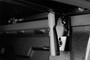 Extang 90355 - 15-21 Chevy/GMC Canyon/Colorado (6 ft bed) Trifecta ALX