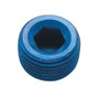 Fragola 493201 - 1/16 NPT Internal Pipe Plug - Blue