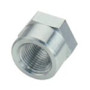 Fragola 496701 - 1/8 FPT Weld Bung
