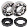 All Balls Racing 24-1008 - 88-05 Kawasaki KX125 Crank Shaft Bearing Kit