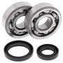 All Balls Racing 24-1014 - 89-01 Suzuki RM80 Crank Shaft Bearing Kit