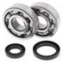All Balls Racing 24-1016 - 89-08 Suzuki RM125 Crank Shaft Bearing Kit