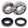 All Balls Racing 24-1023 - 93-01 Yamaha YZ80 Crank Shaft Bearing Kit