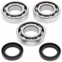All Balls Racing 24-1077 - 89-92 Polaris Big Boss 250 4x6 Crank Shaft Bearing Kit