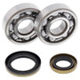 All Balls Racing 24-1110 - 03-11 Gas-Gas EC125 Crank Shaft Bearing Kit
