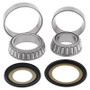 All Balls Racing 22-1038 - 98-02 Kawasaki ZX600 (ZX-6R) Steering Bearing Kit