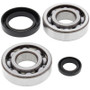All Balls Racing 24-1004 - 84-91 Honda CR250R Crank Shaft Bearing Kit