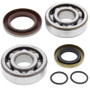 All Balls Racing 24-1103 - 21-23 Gas-Gas MC 65 Crank Shaft Bearing Kit